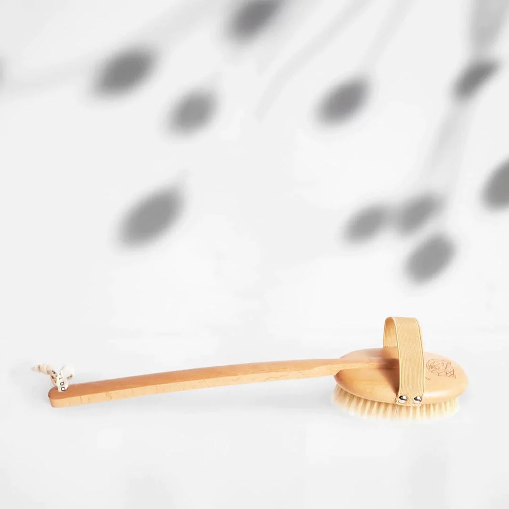 WLDOHO Dry Brush Body Dry Brush -abnehmbarer Stiel